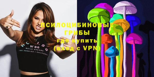 ГАЛЛЮЦИНОГЕННЫЕ ГРИБЫ Богородицк