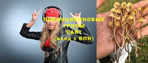 кокаин перу Богданович