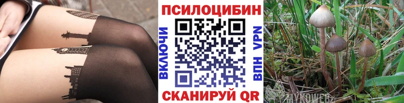 мега сайт  Тамбов  Псилоцибиновые грибы прущие грибы 